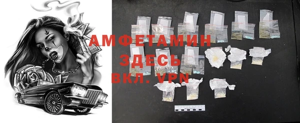 гашик Алексеевка
