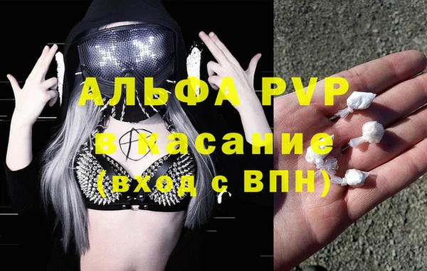 гидра Алексин