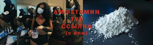 гидра Алексин