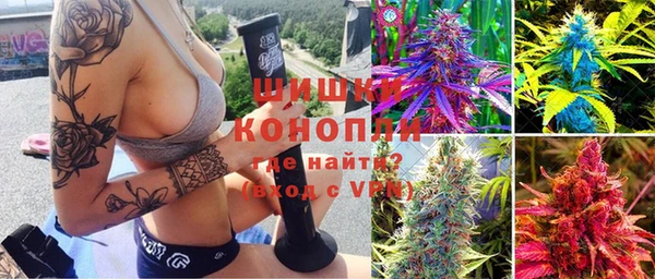 гидра Алексин