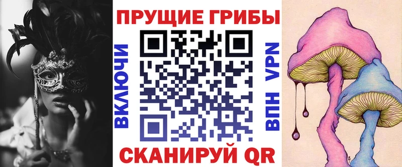 Галлюциногенные грибы GOLDEN TEACHER  цены наркотик  Асино 