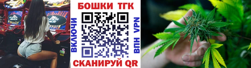 Бошки Шишки планчик  Асино 